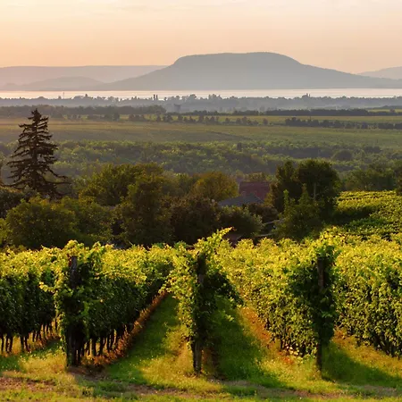 Vakantiehuis In 18431 *